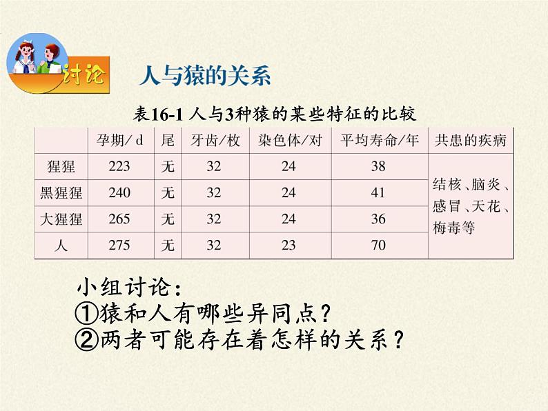 苏教版八年级生物上册 16.4 人类的起源和进化(4) 课件04