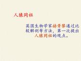 苏教版八年级生物上册 16.4 人类的起源和进化(4) 课件