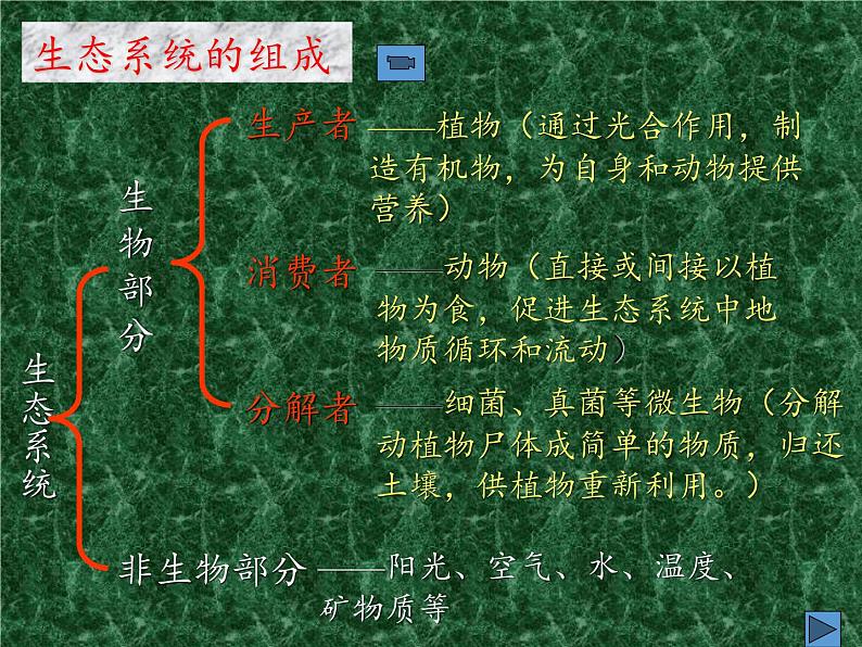 苏教版八年级生物上册 19.1  生态系统的组成(3) 课件04