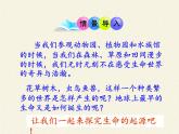 苏教版八年级生物上册 16.1 生命的诞生(2) 课件