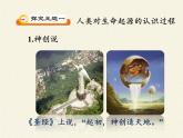 苏教版八年级生物上册 16.1 生命的诞生(2) 课件
