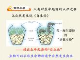 苏教版八年级生物上册 16.1 生命的诞生(2) 课件