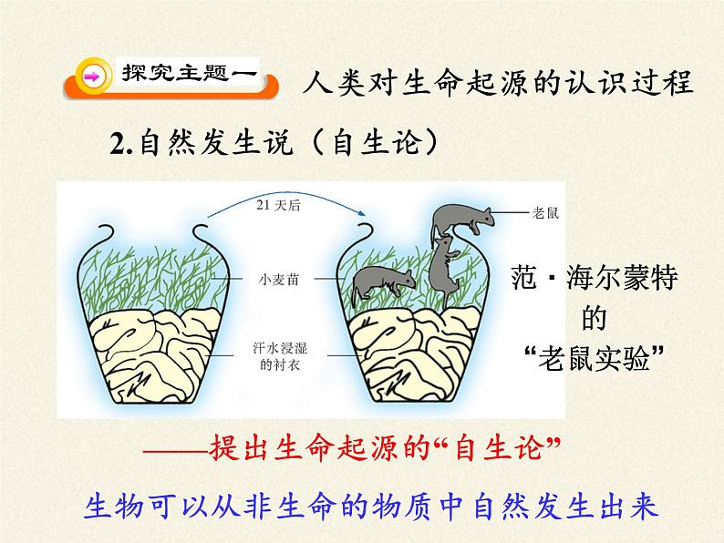 苏教版八年级生物上册 16.1 生命的诞生(2) 课件05