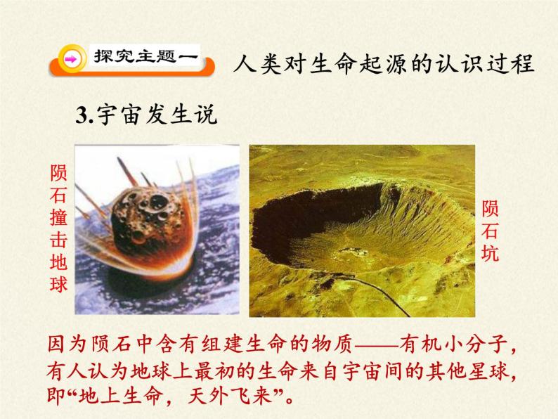 苏教版八年级生物上册 16.1 生命的诞生(2) 课件08