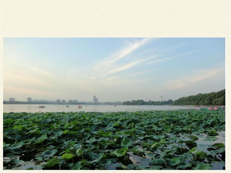 苏教版八年级生物上册 20.1  生物圈中的各种生态系统(1) 课件04