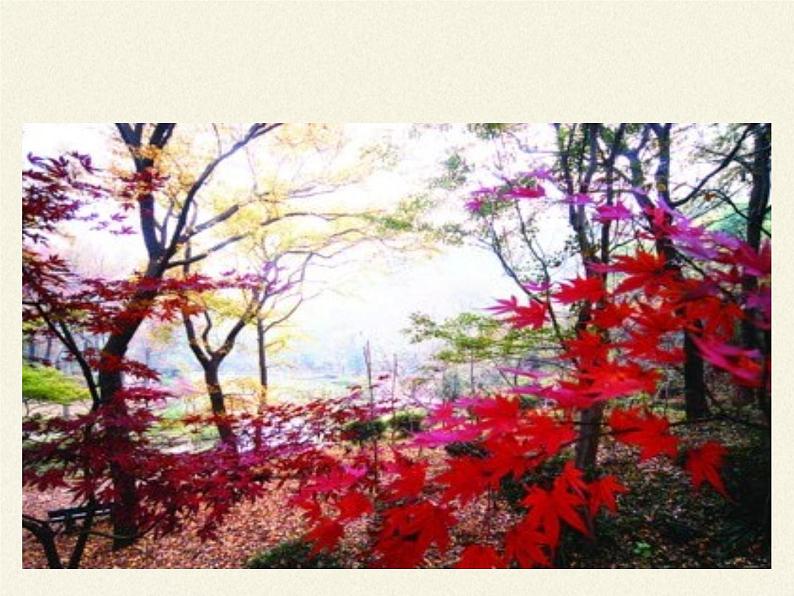 苏教版八年级生物上册 20.1  生物圈中的各种生态系统(1) 课件06