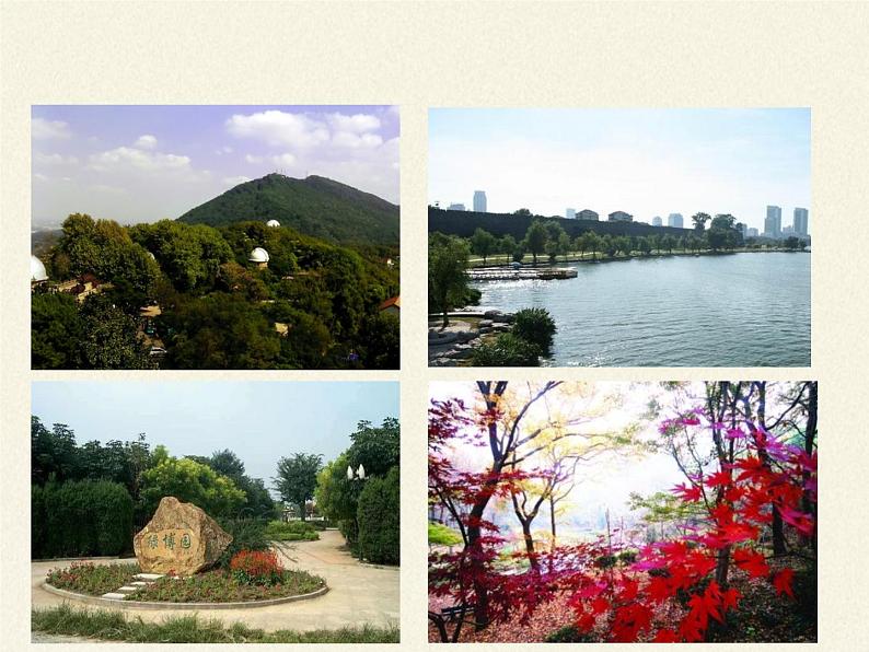 苏教版八年级生物上册 20.1  生物圈中的各种生态系统(1) 课件07