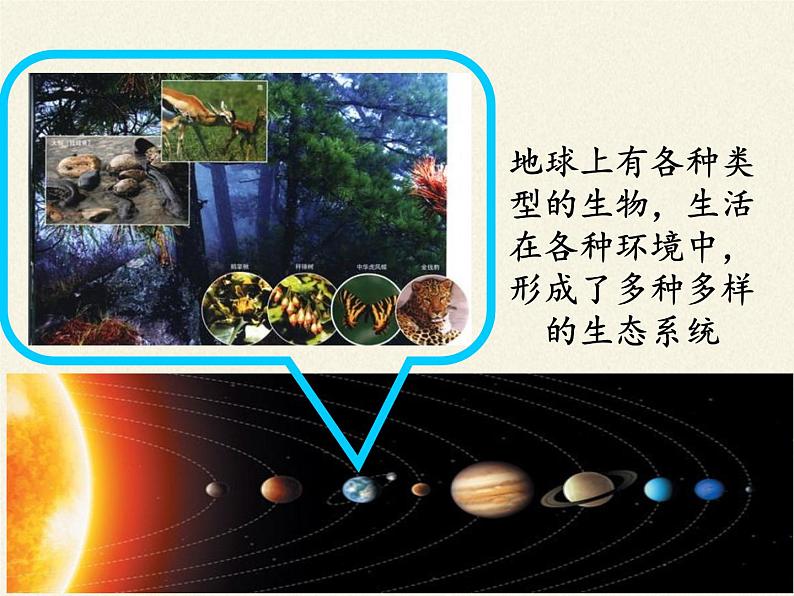 苏教版八年级生物上册 20.1  生物圈中的各种生态系统(1) 课件08