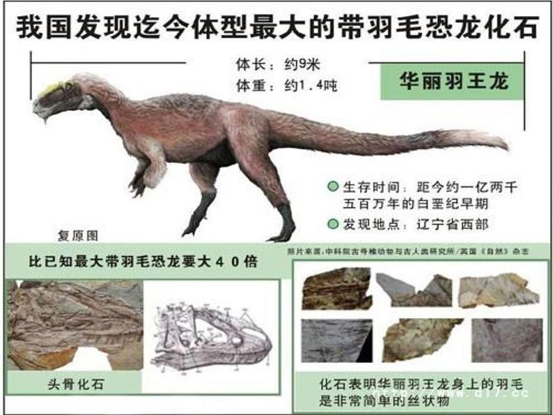 苏教版八年级生物上册 16.2  生物进化的历程 课件第8页