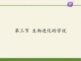 蘇教版八年級生物上冊 16.3  生物進化的學(xué)說(1) 課件