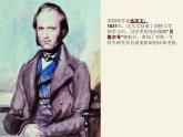 蘇教版八年級生物上冊 16.3  生物進化的學(xué)說(1) 課件