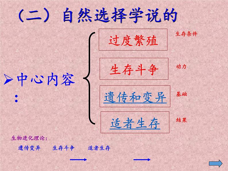 苏教版八年级生物上册 16.3  生物进化的学说(1) 课件06