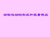 苏教版八年级生物上册 17.1 动物运动的形式和能量供应_ 课件