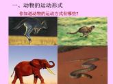 苏教版八年级生物上册 17.1 动物运动的形式和能量供应_ 课件