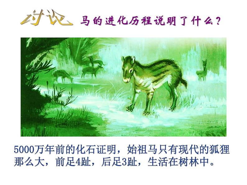 苏教版八年级生物上册 16.2生物进化的历程_ 课件08