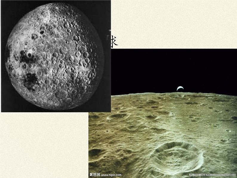 苏教版八年级生物上册 16.1  生命的诞生(1) 课件第3页