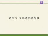 苏教版八年级生物上册 16.2   生物进化的历程(3) 课件