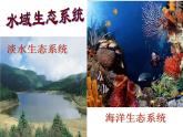 苏教版八年级生物上册 20.1 生物圈中的各种生态系统_ 课件