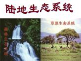 苏教版八年级生物上册 20.1 生物圈中的各种生态系统_ 课件