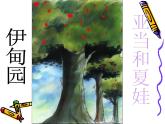苏教版八年级生物上册 16.4 人类的起源和进化_ (2) 课件