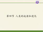 苏教版八年级生物上册 16.4 人类的起源和进化(2) 课件