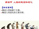 苏教版八年级生物上册 16.4 《人类的起源和进化》 课件