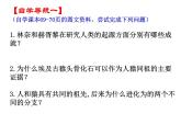苏教版八年级生物上册 16.4 《人类的起源和进化》 课件