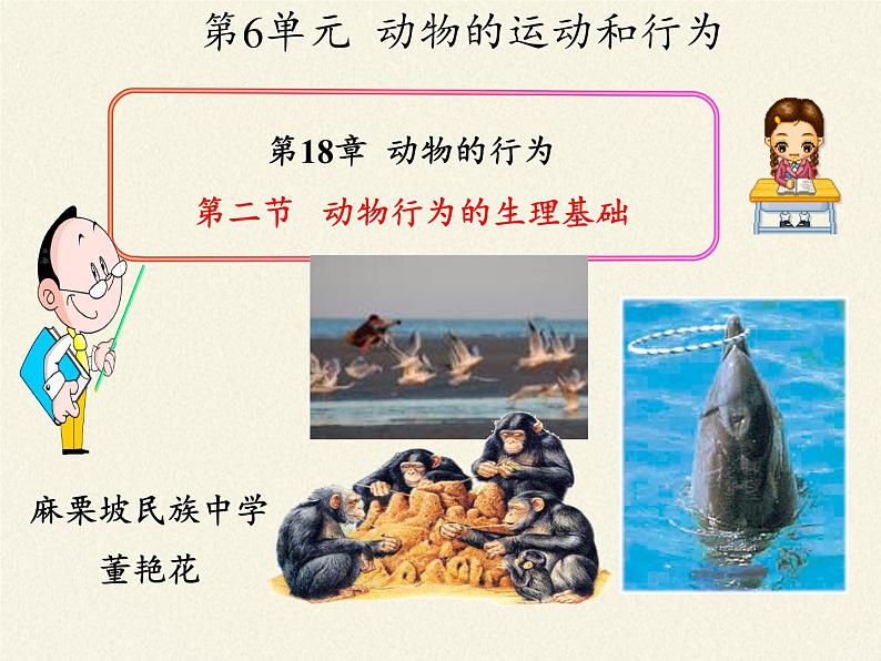 苏教版八年级生物上册 18.2 动物行为的生理基础 课件03