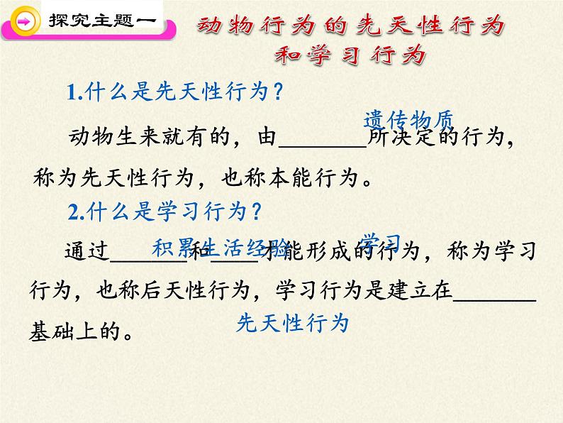 苏教版八年级生物上册 18.2 动物行为的生理基础 课件05