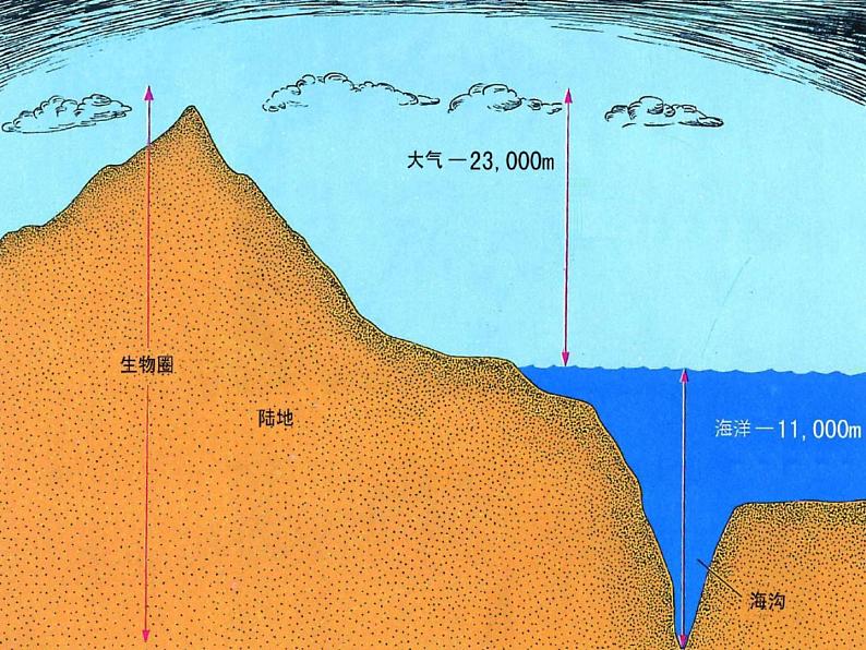 苏教版八年级生物上册 20.2  生物圈是生物的共同家园 课件06