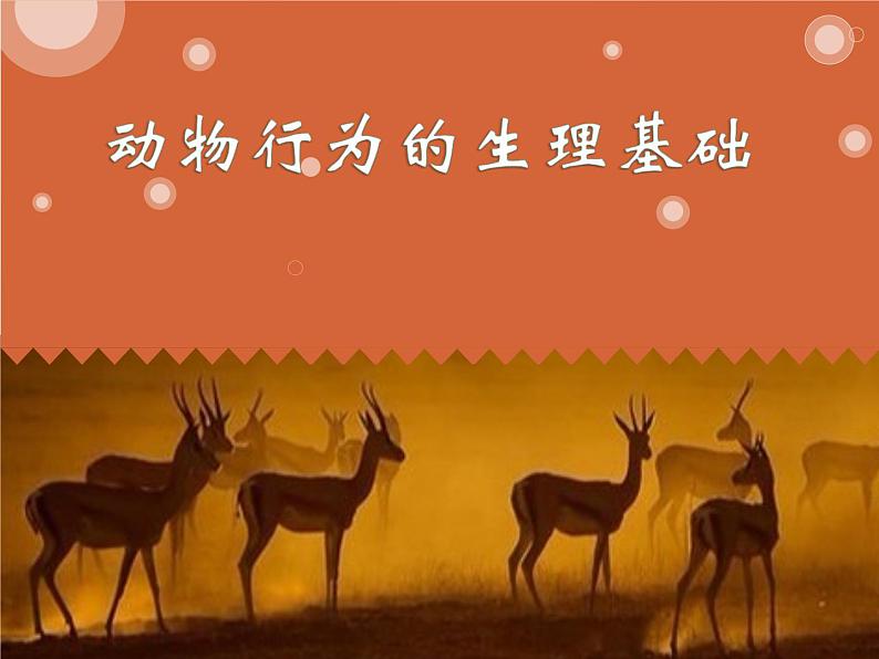 苏教版八年级生物上册 18.2 动物行为的生理基础 课件第1页