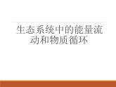 苏教版八年级生物上册 19.2生态系统中的能量流动和物质循环_ 课件