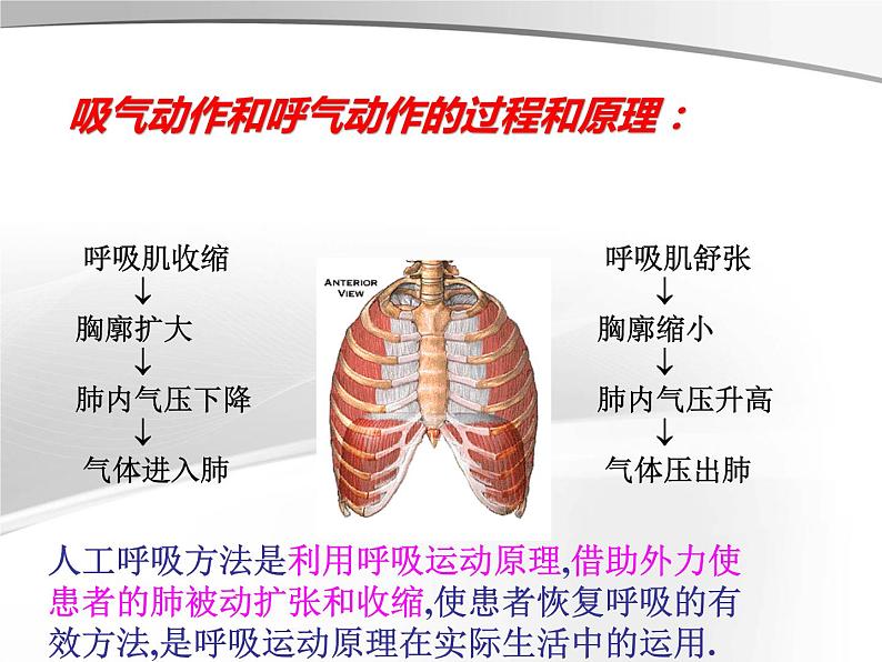 急救常识课件08