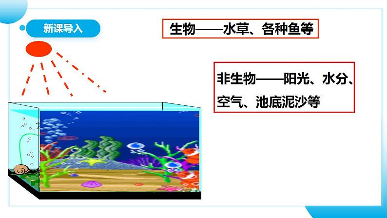 【核心素养目标】人教版 (新课标)初中生物七年级上册1.2.2《生物与环境组成生态系统》课件+教案+同步分层练习（含答案）03