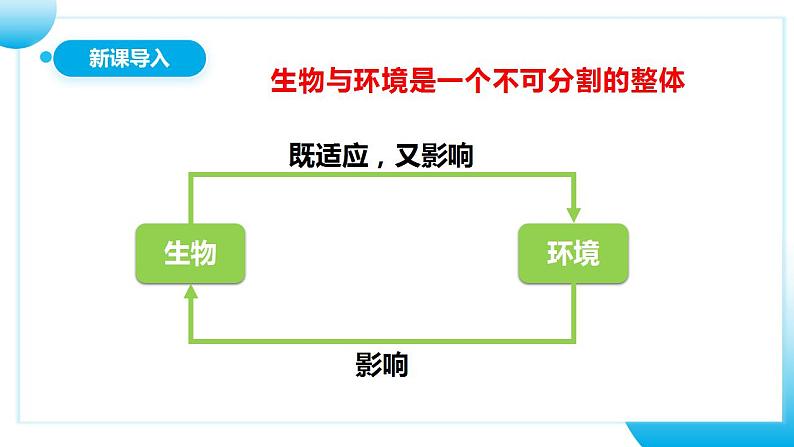 【核心素养目标】人教版 (新课标)初中生物七年级上册1.2.2《生物与环境组成生态系统》课件+教案+同步分层练习（含答案）04