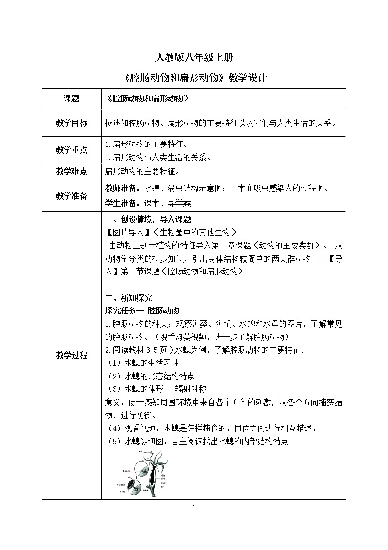 1.1《腔肠动物和扁形动物》课件+教案01