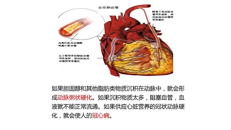 北师大版生物七年级下册第十三章《健康地生活》13.4 当代主要疾病和预防  PPT教学课件04