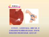 北师大版生物七年级下册第九章《人体内的物质运输》2.2 血液循环 PPT教学课件
