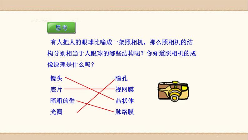 北师大版生物七年级下册第十二章《人体的自我调节》12.2  感受器和感觉器官 PPT教学课件第7页