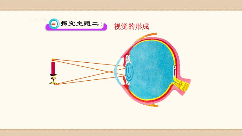 北师大版生物七年级下册第十二章《人体的自我调节》12.2  感受器和感觉器官 PPT教学课件第8页