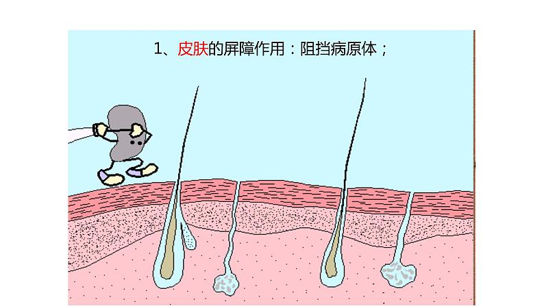 北师大版生物七年级下册第十三章《健康地生活》13.3 人体免疫  PPT教学课件第7页