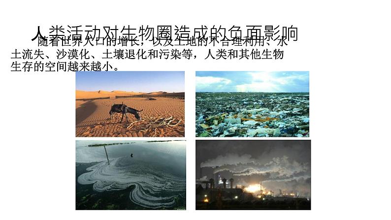 北师大版生物七年级下册第十四章《人在生物圈中的义务》14.2 保护生物圈是全人类的共同义务 PPT教学课件第4页