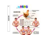 北师大版生物七年级下册第十三章《健康地生活》 13.2预防传染病 PPT教学课件
