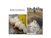 北师大版生物七年级下册第十三章《健康地生活》 13.2预防传染病 PPT教学课件