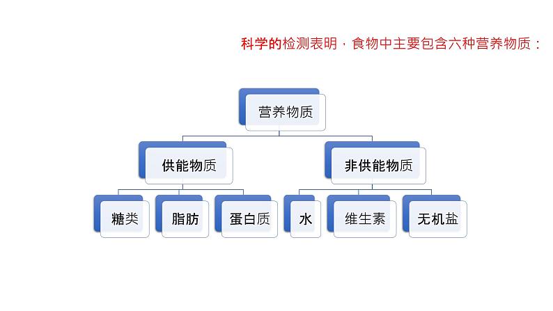 北师大版生物七年级下册第八章《人类的食物》1.1人类的食物 PPT教学课件08