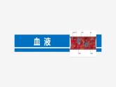 北师大版生物七年级下册第九章《人体内的物质运输》2.1 血液  PPT教学课件
