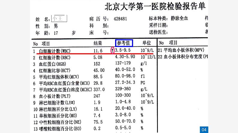 北师大版生物七年级下册第九章《人体内的物质运输》2.1 血液  PPT教学课件第5页