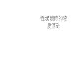 北师大版生物八年级上册第二十章《遗传和变异现象》20.2 性状遗传的物质基础  教学PPT课件