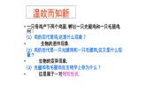 北师大版生物八年级上册第二十章《遗传和变异现象》20.2 性状遗传的物质基础  教学PPT课件