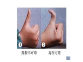 北师大版生物八年级上册第二十章《遗传和变异现象》20.2 性状遗传的物质基础  教学PPT课件